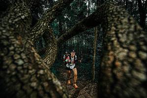 BIB: 
                            <button type="button" onclick="openModal(25673001)" class="btn btn-primary btn-sm float-right btn-popup" data-toggle="modal" data-target=".modal-high-quality">
                        <i class="fas fa-shopping-cart"></i> Add to Cart
                    </button>
                                            <button type="button" onclick="isThisMe(25673001, true)" class="btn btn-success btn-sm float-right btn-popup btn-isme hidden" data-toggle="tooltip" data-placement="bottom" title="นี่คือรูปของคุณใช่ไหม คลิกที่นี่เพื่อเอาเข้าอัลบั้ม">
                        <i class="fas fa-plus"></i> Add to album
                    </button>
                    <button type="button" onclick="isThisMe(25673001, false)" class="btn btn-warning btn-sm float-right btn-popup btn-isnotme hidden">
                        <i class="fas fa-ban"></i> Remove from album
                    </button>